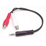 StarTech.com 6in Stereo Audio Cable 3.5mm to 2x RCA