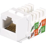 Black Box GigaBase2 FMT929-R2 Network Connector - 1 Pack