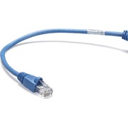 Black Box Connect Cat.6 UTP Patch Network Cable - 1 ft Category 6 Network Cable for Network Device - First End: 1 x RJ-45 Network - Male - Second End: 1 x RJ-45 Network - Male - 1 Gbit/s - Patch Cable - Gold Plated Contact - CM - 26 AWG - Blue - 1 Each BBNCAT6PC001BL