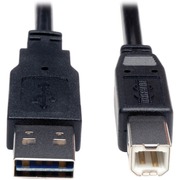 Tripp Lite series Universal Reversible USB 2.0 A-Male to B-Male Device Cable - 6ft - 6 ft USB Data Transfer Cable - First End: 1 x 4-pin USB 2.0 Type A - Male - Second End: 1 x 4-pin USB 2.0 Type B - Male - Shielding - Nickel Plated Connector - Gold Plate TRPUR022006