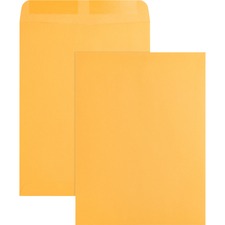 Business Source Kraft Gummed Catalog Envelopes - 9" x 12" - Case of 250 Envelopes