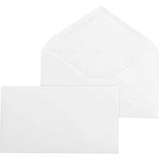 Business Source Diagonal Seam No. 9 Envelopes - Case of 500 Envelopes