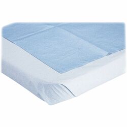 Medline Blue Disposable Stretcher Sheets - Blue - Tissue - 50 / Box MIINON24333