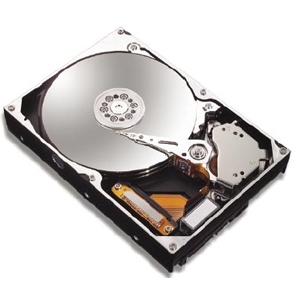 SEAGATE ST318406LW