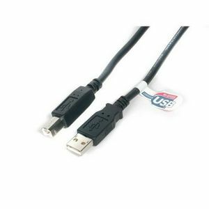 StarTech.com 10 ft USB 2.0 Certified A to B Cable - M/M - 1 x Type A Male - 1 x Type B Male - Black