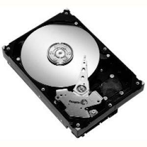 SEAGATE ST3160815AS