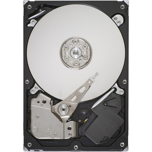 SEAGATE ST3250310AS