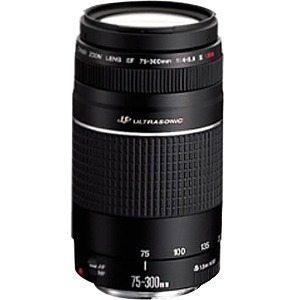 Canon EF 6472A012AA Lens - 75 mm to 300 mm
