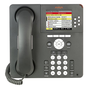 AVAYA 700383920