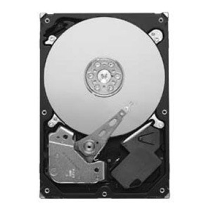 SEAGATE ST3320310CS