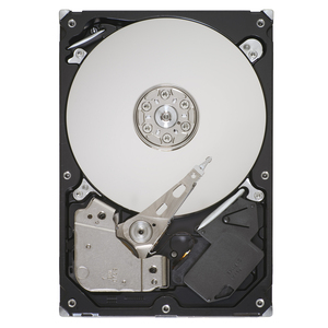 SEAGATE ST3250318AS