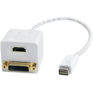 StarTech.com 1 ft Mini DVI to DVI-D Andamp; HDMI Splitter Cable - M/F - 1ft - 1 Pack