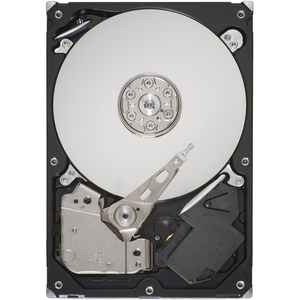 SEAGATE ST33000651AS