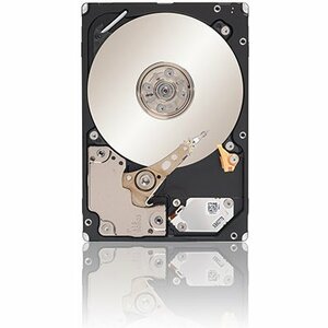 SEAGATE ST9600005SS