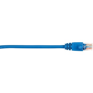 Black Box Corp Category 5e For Network Device Patch Cable 3 Ft 1 X Rj 45 Male Network 1 X Rj 45 Male Network Blue Cat5epc003bl