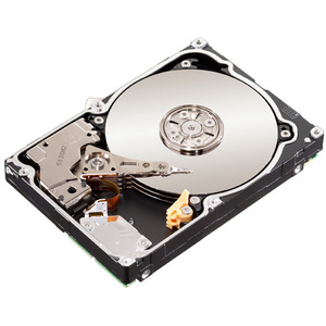 SEAGATE ST1000NC001