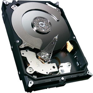 SEAGATE ST250DM000