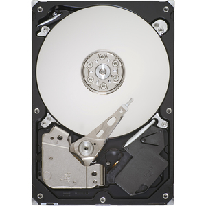 SEAGATE ST31000524AS