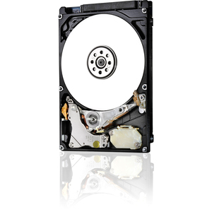 HGST WD 0J22413