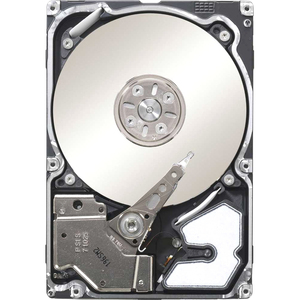 SEAGATE ST300MM0026