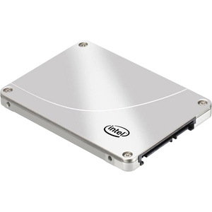 INTEL SSDSC2BB300G401