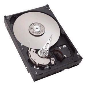SEAGATE ST3160827AS