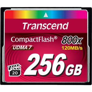 TRANSCEND TS256GCF800