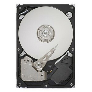SEAGATE ST3160318AS