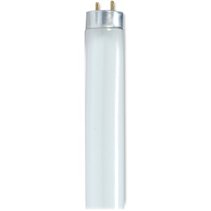 Satco 32-watt T8 Fluorescent Bulbs - 32 W - 120 V AC - T8 Size - Cool White Light Color - G13 Base - 24000 Hour - 6920.3°F (3826.8°C) Color Temperature - 85 CRI - 30 / Carton