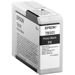 EPSON T850100