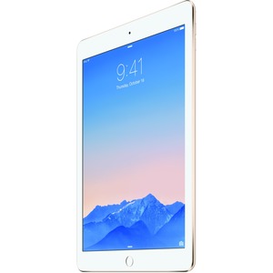 Apple iPad Air 2 32 GB Tablet - 24.6 cm 9.7inch 4:3 Multi-touch Screen - 2048 x 1536 - Retina Display, In-plane Switching IPS Technology - Apple A8X Triple-core 3