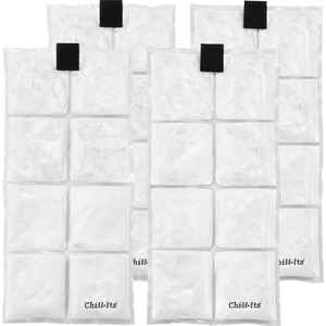 Chill-Its 6250 Phase Change Cooling Vest Packs - Set of 4 - 4 / Set - Clear - Polyester, Cotton