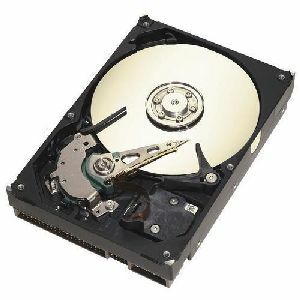 SEAGATE ST3160812AS