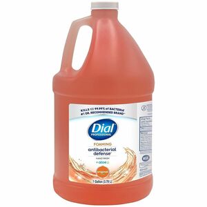 Dial Professional Antibacterial Defense Foaming Handwash
