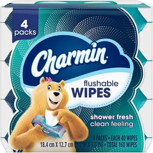 Charmin Flushable Wet Wipes