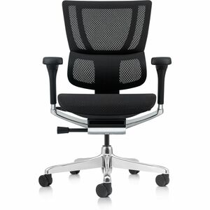Eurotech Ergohuman Xtreme Executive Chair - Mesh Back Material - High Back - 5-star Base - Black - Armrest - 1 Each