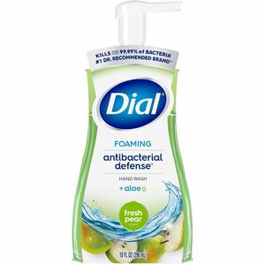 Dial Complete Foaming Hand Wash