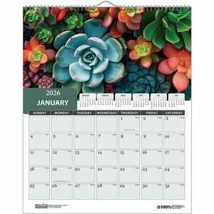House of Doolittle Recycled Succulent & Cacti Wall Calendar - Monthly - 12 Month - January 2026 to December 2026 - 1 Month Single Page Layout - 11" x 14" Sheet Size - 2" x 1.4