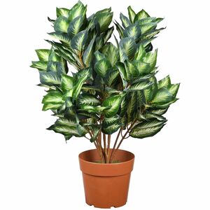 National Tree Hosta Topiary Plan - 30" Tall - Hosta - Topiary - Pot1 Each