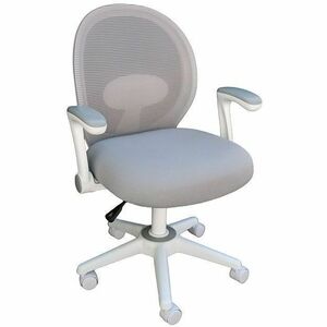 Boss Grey Mesh, Flip Arm, Task Chair, White Frame - Gray Seat Color - Foam, Fabric Seat Material - Gray Back Color - Mesh Back Material - White Frame Color - 5-star Base - Gra