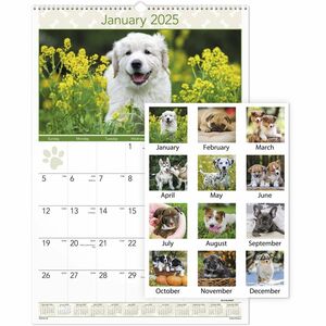 At-A-Glance Puppies Wall Calendar - Large Size - Julian Dates - Monthly, Yearly - 12 Month - January 2024 - December 2024 - 1 Month Single Page Layout - 15 1/2" x 22 3/4" Whit