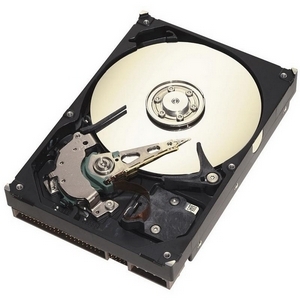 SEAGATE ST3250820AS