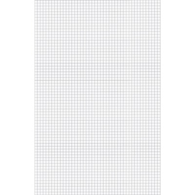Ampad Tabloid - size Quadrille Pad - Tabloid - ForMyDesk.com