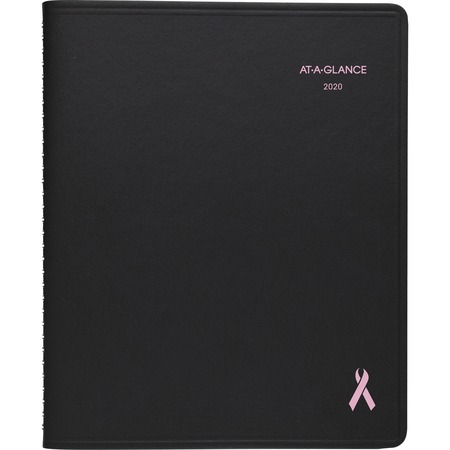 At-A-Glance Quicknotes Special Edition Monthly Planner