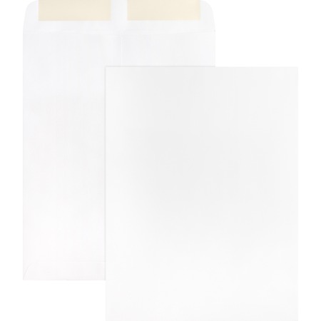 Wholesale Catalog Envelopes: Discounts on Business Source 28 lb. White Catalog Envelopes BSN42102