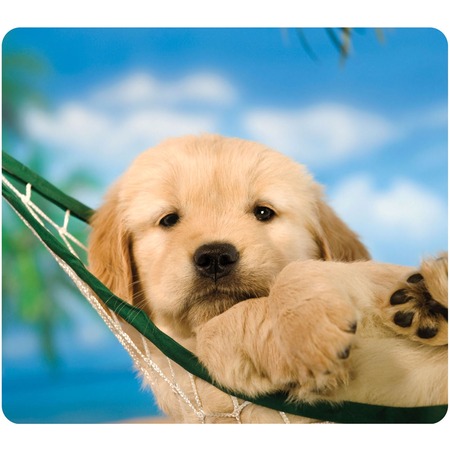Wholesale Wrist/Mouse Pads: Discounts on Fellowes Recycled Optical Mouse Pad - Puppy FEL5913901