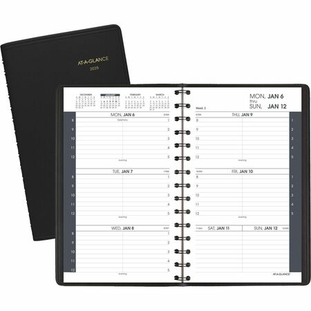 At-A-Glance Weekly Appointment Book