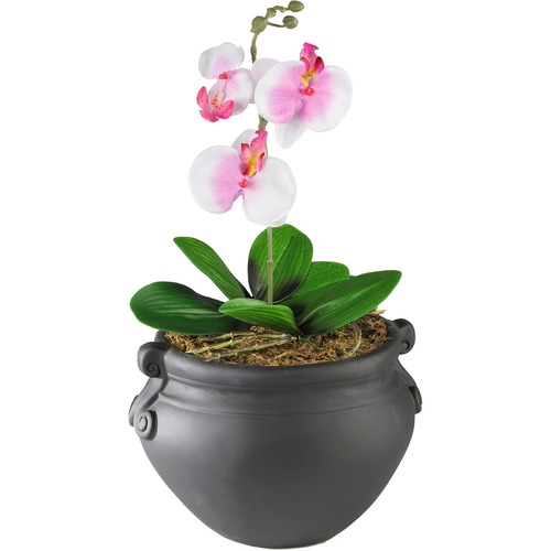 Artificial Orchid Plant with Container NUDT7980