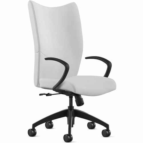 9to5 Seating Chair,HighBack,w/Arms,SwivelTilt,Leather,25"x26"x49",WE