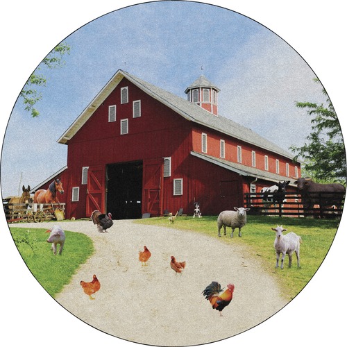 Flagship Carpets, Inc. Rug, Barn Animals, 144"Wx144"Lx1/2"H, Multi